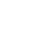 free shipping icon